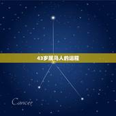 43岁属马人的运程，78年属马2022 年运势