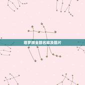 塔罗牌全部名称及图片，八字测算免费