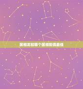 属相龙和哪个属相配偶最佳，属龙的和什么属相最配 属龙人的婚配表