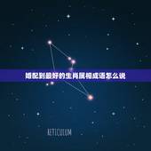 婚配到最好的生肖属相成语怎么说，婚配生肖怎么配