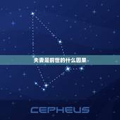 夫妻是前世的什么因果，很喜欢一个人，甚至患相思病，是前世造了什么因果？