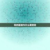 有的属相为什么要劈棺，扇土劈棺是什么意思？