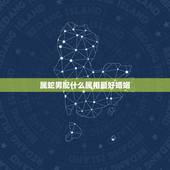 属蛇男配什么属相最好婚姻，属蛇的找什么属相结婚为好