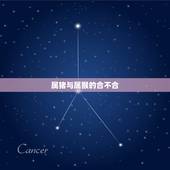 属猪与属猴的合不合，属猪和属猴配是不是会相克，有解吗