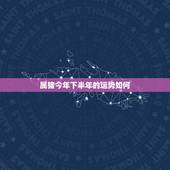 属猪今年下半年的运势如何，71年属猪2022 年每月运气