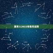 属羊人2022年各月运势，属羊67年男2021年每月运势