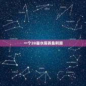 一个20亩水库养鱼利润，开一个养鱼场赚钱吗