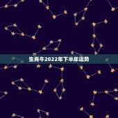 生肖牛2022年下半年运势，97属牛2021年运势及运程
