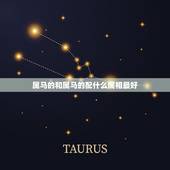 属马的和属马的配什么属相最好，属马的和什么属相最配
