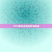 1978年正月出生的马命运，1978年正月出生马是什么命