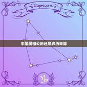 中国属相公历还是农历来算，中国的生肖是按阴历还是阳历算啊