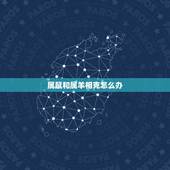 属鼠和属羊相克怎么办，属羊人与属鼠人相合破解