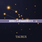 属狗和什么属相最配hd2019，属狗的和什么属相最配