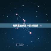 两属鼠的夜里11能婚配吗，属鼠的和什么属相最配 属鼠的属相婚配表