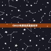 2023年男孩虎宝宝名字 属兔男宝宝取什么名字好