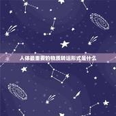 人体最重要的物质转运形式是什么，生理学名词解释