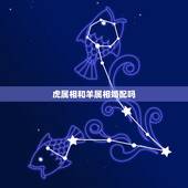 虎属相和羊属相婚配吗，属相婚配：男属羊和女属虎相配吗