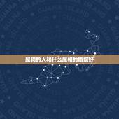 属狗的人和什么属相的婚姻好，属狗出生的人与什么属相姻缘最好