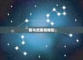 猴与虎属相婚配，属虎和属猴的婚姻怎么样