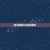 属马的配什么生肖更好，属马的婚姻配什么更好