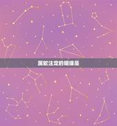 属蛇注定的姻缘是，属蛇一生有几次婚姻