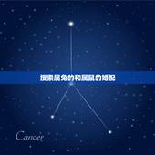 搜索属兔的和属鼠的婚配，属鼠和属兔的人相配吗