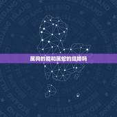 属狗的能和属蛇的结婚吗，属蛇的和属狗的配吗