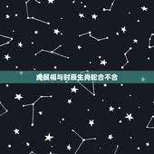 虎属相与时辰生肖蛇合不合，男虎女 蛇属相不合如何化解