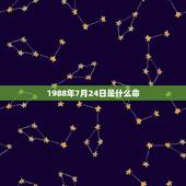 1988年7月24日是什么命，1988年7月是什么命
