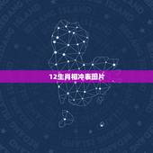 12生肖相冲表图片，十二生肖相冲相克表图片