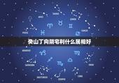 癸山丁向阴宅利什么属相好，2017年癸山丁向阴宅风水