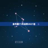 金牛座11月运势2021年，金牛座今年运势2021