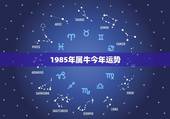 1985年属牛今年运势，1985年属牛的人女运程