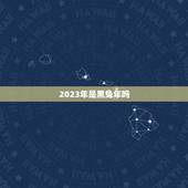 2023年是黑兔年吗，刘伯温预言2022年大劫