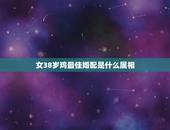 女38岁鸡最佳婚配是什么属相，属鸡的女生和什么属相最配