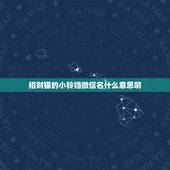 招财猫的小铃铛微信名什么意思啊，最吉利旺财的微信名
