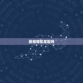 属相婚配龙配吗，属相婚配：男属龙和女属龙相配吗