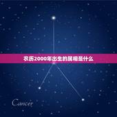 农历2000年出生的属相是什么，2000年1月11日出生的属相是什么？