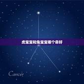 虎宝宝和兔宝宝哪个命好，兔宝宝全屋定制官