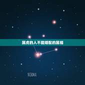 属虎的人不能婚配的属相，1998属虎的属相婚配表