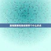 属相属猴和猪结婚带个什么好点，属猴的和属猪的合婚吗？