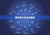属牛的几月出生更好，属牛的婚姻配对更佳