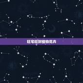 旺宅旺财植物花卉，旺宅旺财的风水花卉有哪些