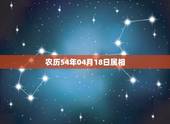 农历54年04月18日属相，1954年属马是什么命
