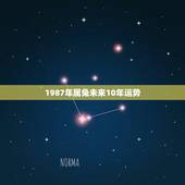 1987年属兔未来10年运势，属兔女未来十年运势爆发