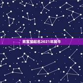 男宝宝起名2021年属牛，2021年属牛的男孩叫什么名字