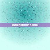 属老鼠的跟属羊的人相合吗，属鼠女和属羊女的在一起