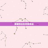 属猪的出生时辰命运，属猪的几点出生有福气