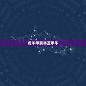 戊午甲寅辛丑甲午，戊午年是哪一年