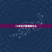 72年五行里面属什么，72年五行什么命